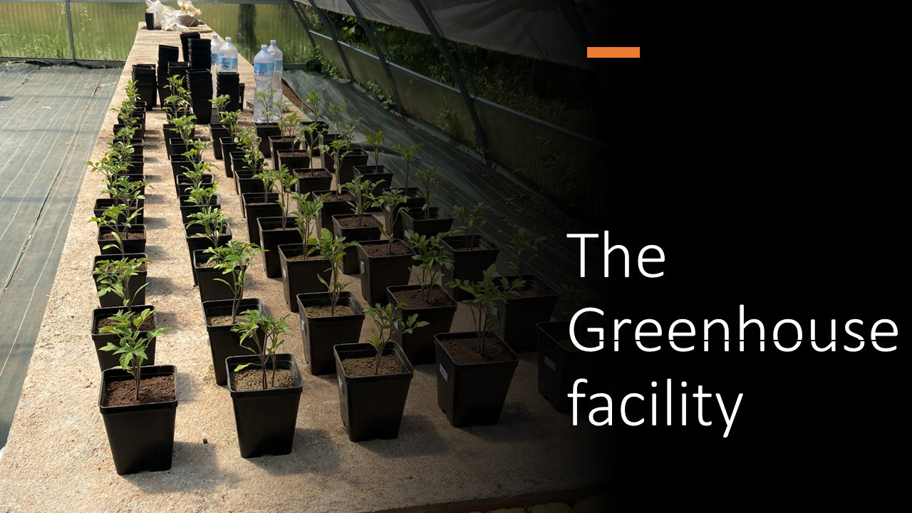 10. Greenhouse facility